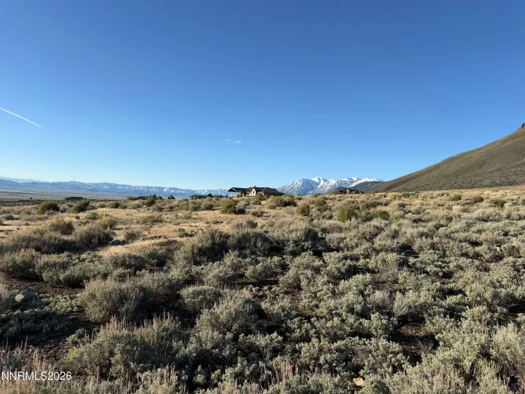 2953 Jacks, Genoa, Nevada 89411, ,Land,Residential,Jacks,260004499