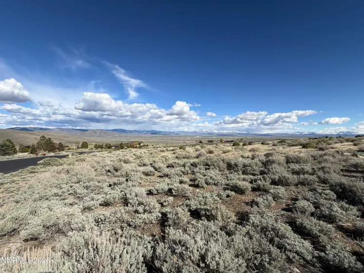 2953 Jacks, Genoa, Nevada 89411, ,Land,Residential,Jacks,260004499