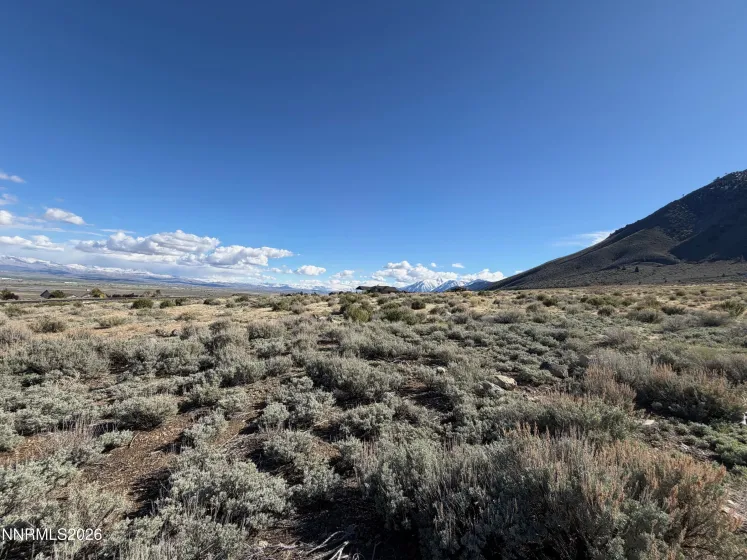 2953 Jacks, Genoa, Nevada 89411, ,Land,Residential,Jacks,260004499