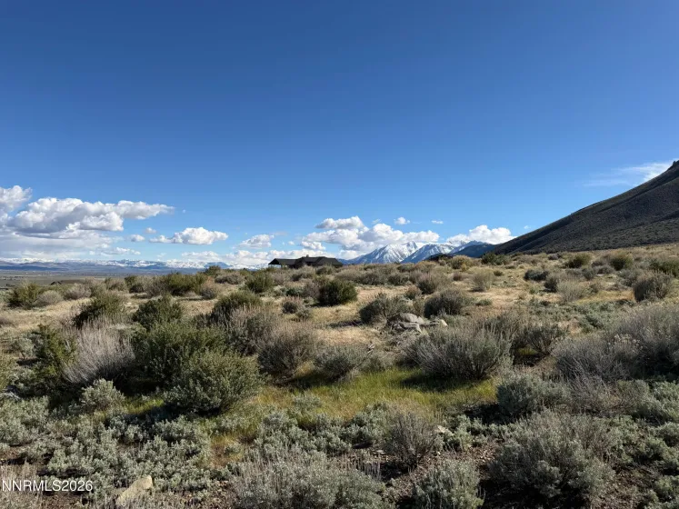 2953 Jacks, Genoa, Nevada 89411, ,Land,Residential,Jacks,260004499