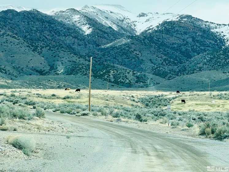 22025 Fall River, Lovelock, Nevada 89419, ,Land,Residential,Fall River,250003998