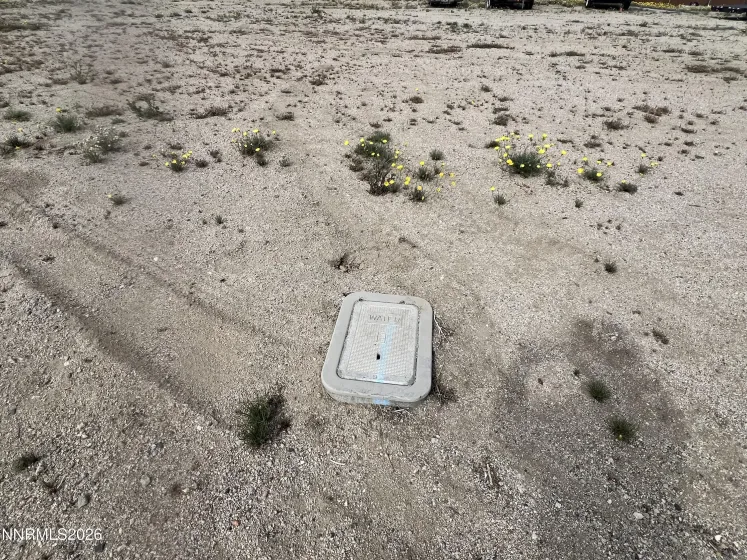 255 Sage, Hawthorne, Nevada 89415, ,Land,Residential,Sage,260004517