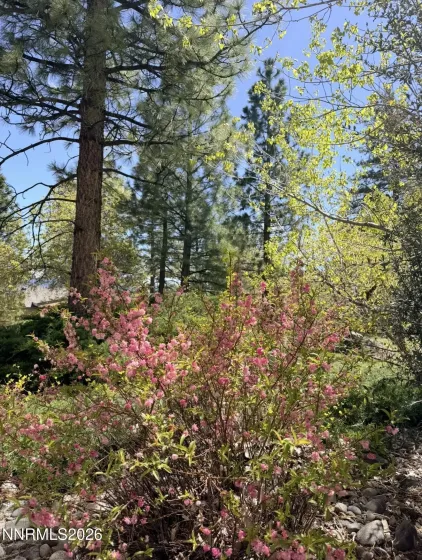 16770 Mt Rose, Reno, Nevada 89511, 1 Bedroom Bedrooms, ,1 BathroomBathrooms,Residential Lease,Manufactured,Mt Rose,260004522