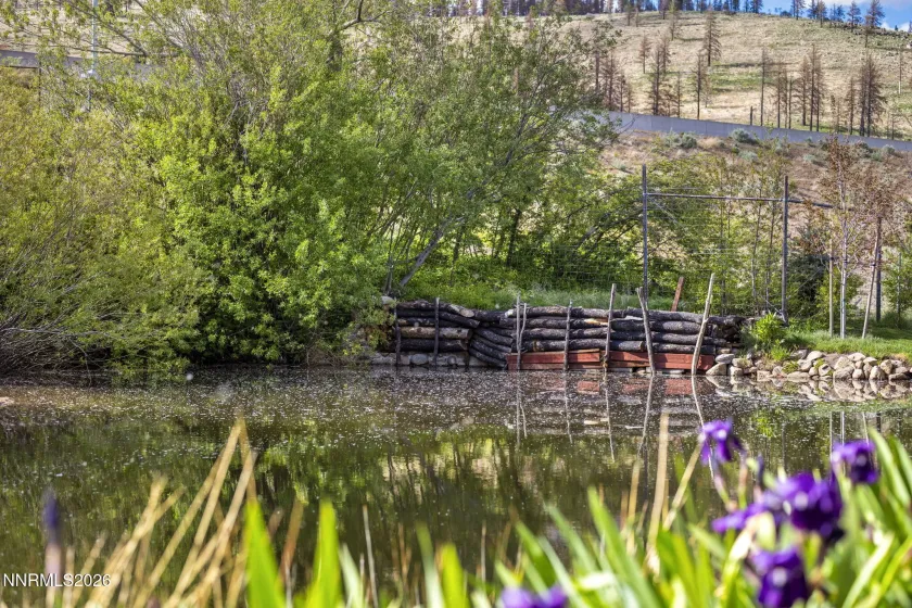 1015 US highway 395, Washoe Valley, Nevada 89704, 7 Bedrooms Bedrooms, ,6 BathroomsBathrooms,Residential,Residential,US highway 395,260004512