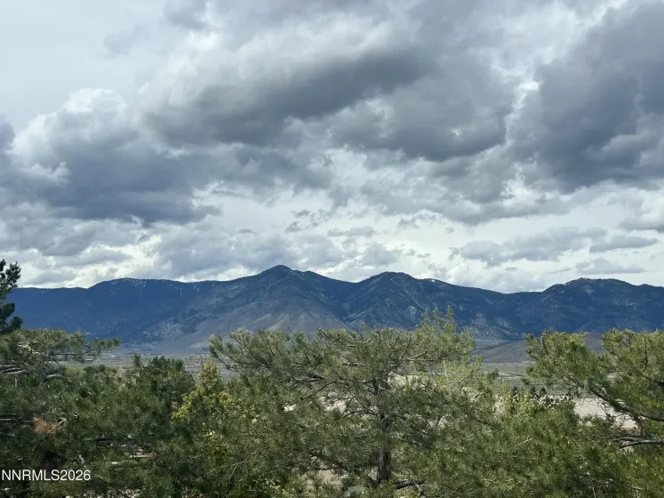 1340 Santa Cruz, Minden, Nevada 89423, 4 Bedrooms Bedrooms, ,3 BathroomsBathrooms,Residential,Residential,Santa Cruz,260004553