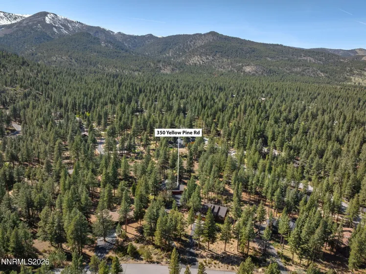350 Yellow Pine, Reno, Nevada 89511, 4 Bedrooms Bedrooms, ,3 BathroomsBathrooms,Residential,Residential,Yellow Pine,260004597