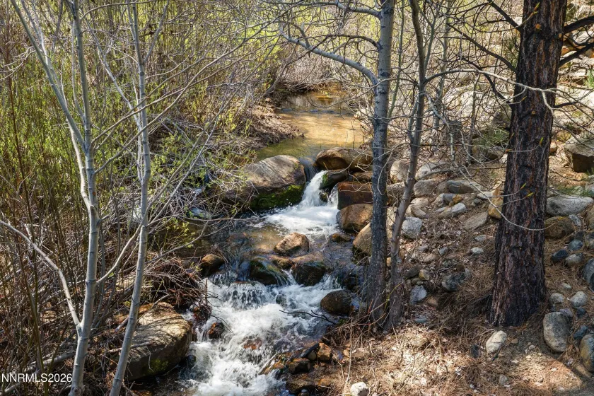 102 Willis, Reno, Nevada 89511, 4 Bedrooms Bedrooms, ,4 BathroomsBathrooms,Residential,Residential,Willis,260004631