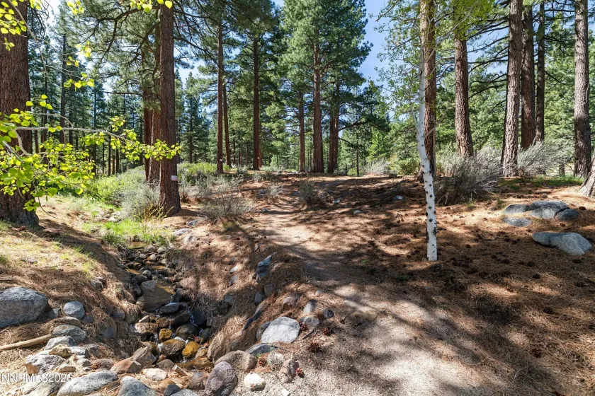 102 Willis, Reno, Nevada 89511, 4 Bedrooms Bedrooms, ,4 BathroomsBathrooms,Residential,Residential,Willis,260004631