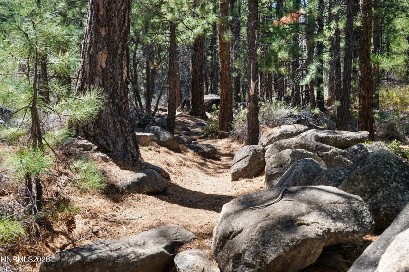 102 Willis, Reno, Nevada 89511, 4 Bedrooms Bedrooms, ,4 BathroomsBathrooms,Residential,Residential,Willis,260004631