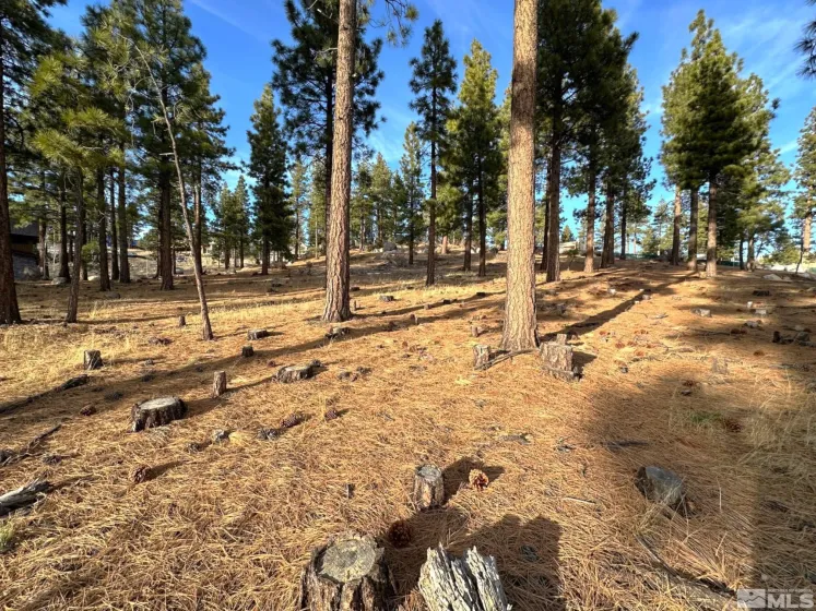 220 Overlook, Carson City, Nevada 89705, ,Land,Residential,Overlook,250000799