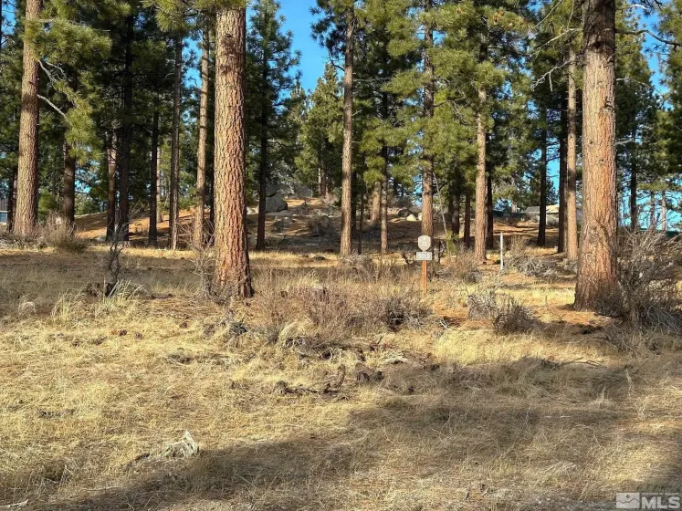 220 Overlook, Carson City, Nevada 89705, ,Land,Residential,Overlook,250000799