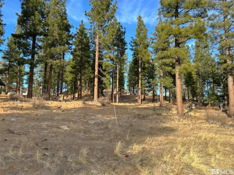 220 Overlook, Carson City, Nevada 89705, ,Land,Residential,Overlook,250000799