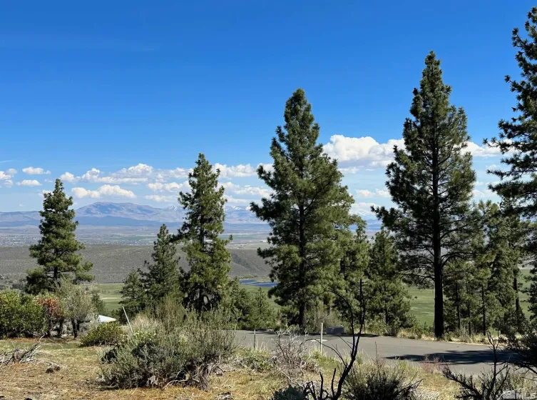 220 Overlook, Carson City, Nevada 89705, ,Land,Residential,Overlook,250000799