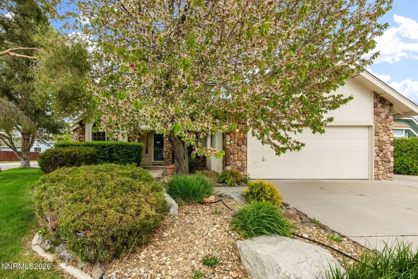 1709 Lantana, Minden, Nevada 89423, 3 Bedrooms Bedrooms, ,2 BathroomsBathrooms,Residential,Residential,Lantana,260004643