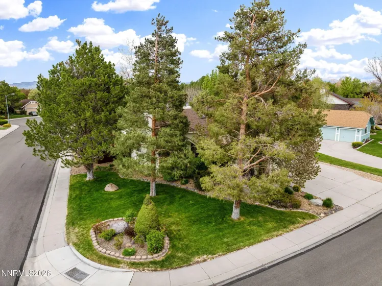 1709 Lantana, Minden, Nevada 89423, 3 Bedrooms Bedrooms, ,2 BathroomsBathrooms,Residential,Residential,Lantana,260004643