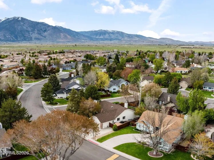 1709 Lantana, Minden, Nevada 89423, 3 Bedrooms Bedrooms, ,2 BathroomsBathrooms,Residential,Residential,Lantana,260004643