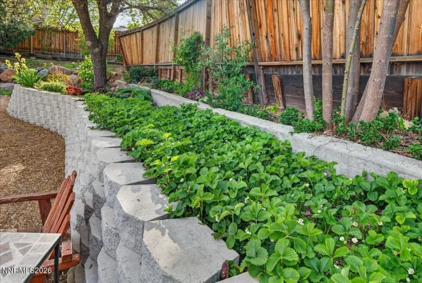 1385 Tioga, Reno, Nevada 89503, 3 Bedrooms Bedrooms, ,2 BathroomsBathrooms,Residential,Residential,Tioga,260004657