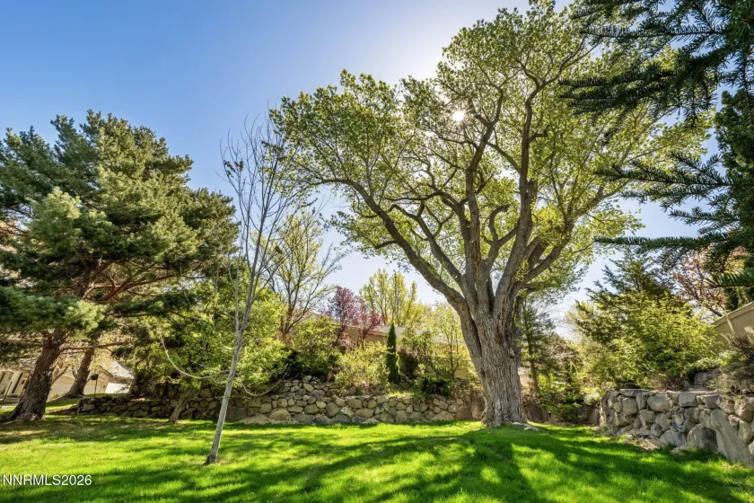 3885 Chinook Creek, Reno, Nevada 89519, 3 Bedrooms Bedrooms, ,4 BathroomsBathrooms,Residential,Residential,Chinook Creek,260004659