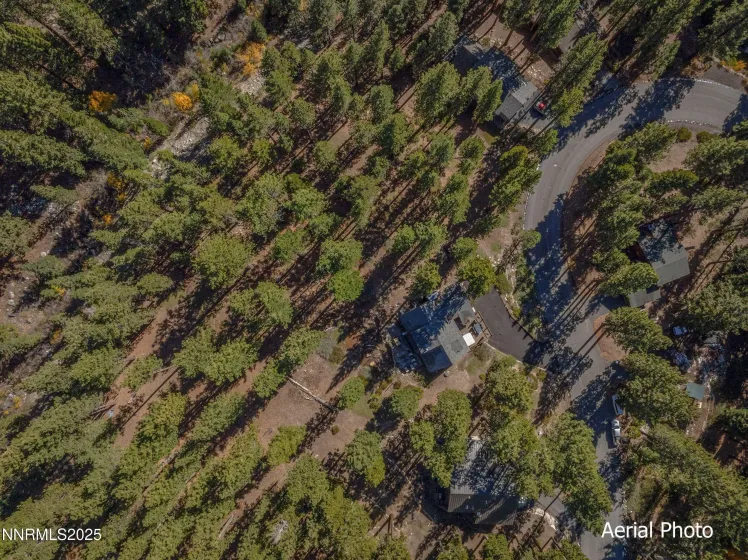 949 Jennifer, Incline Village, Nevada 89451, 4 Bedrooms Bedrooms, ,3 BathroomsBathrooms,Residential,Residential,Jennifer,250058061