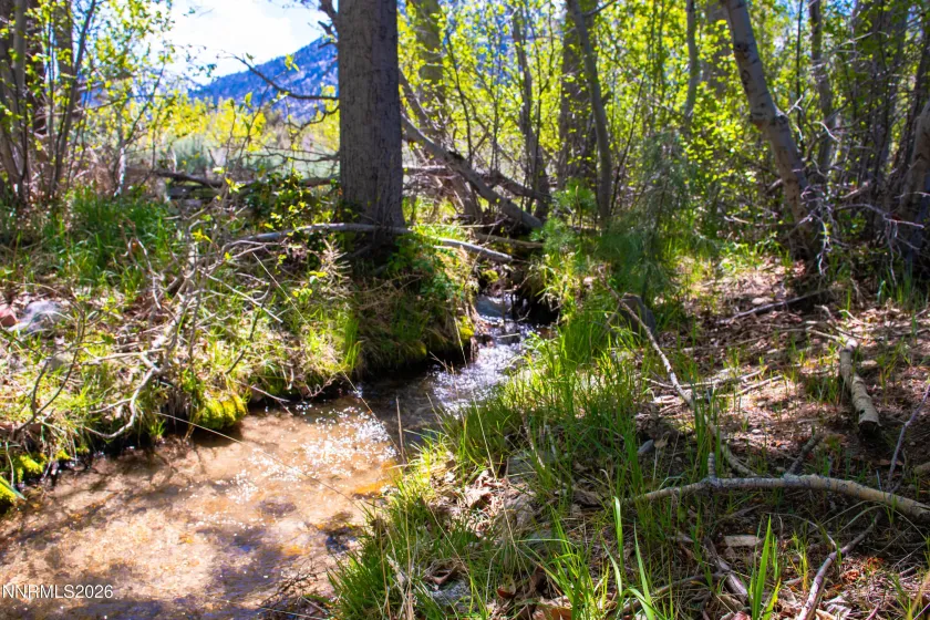371 Canyon Creek, Gardnerville, Nevada 89460, ,Land,Residential,Canyon Creek,260004679