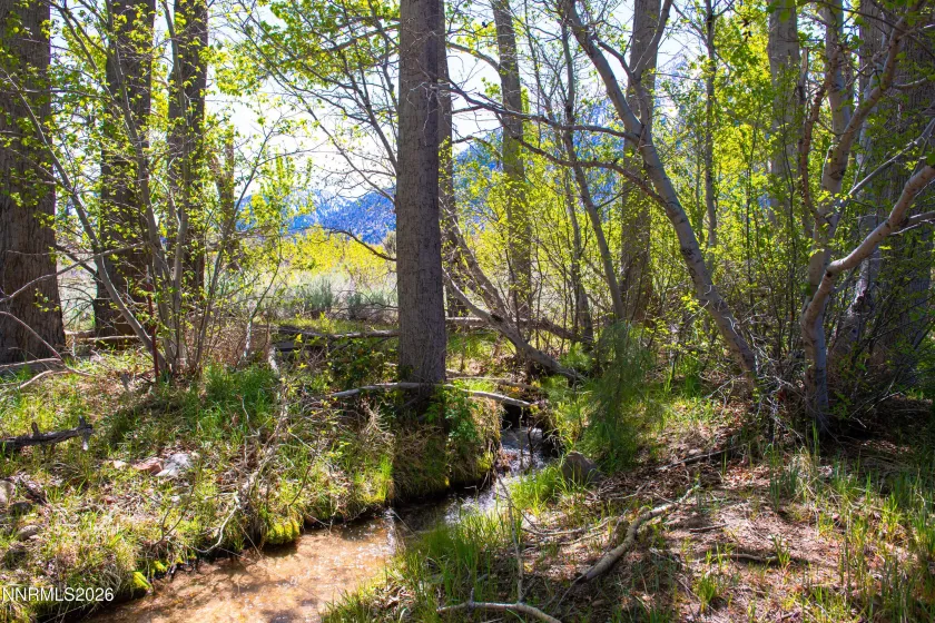 371 Canyon Creek, Gardnerville, Nevada 89460, ,Land,Residential,Canyon Creek,260004679