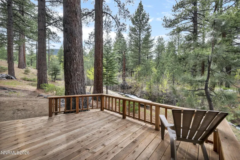 1300 Douglas Fir, Reno, Nevada 89511, 4 Bedrooms Bedrooms, ,4 BathroomsBathrooms,Residential,Residential,Douglas Fir,260004706