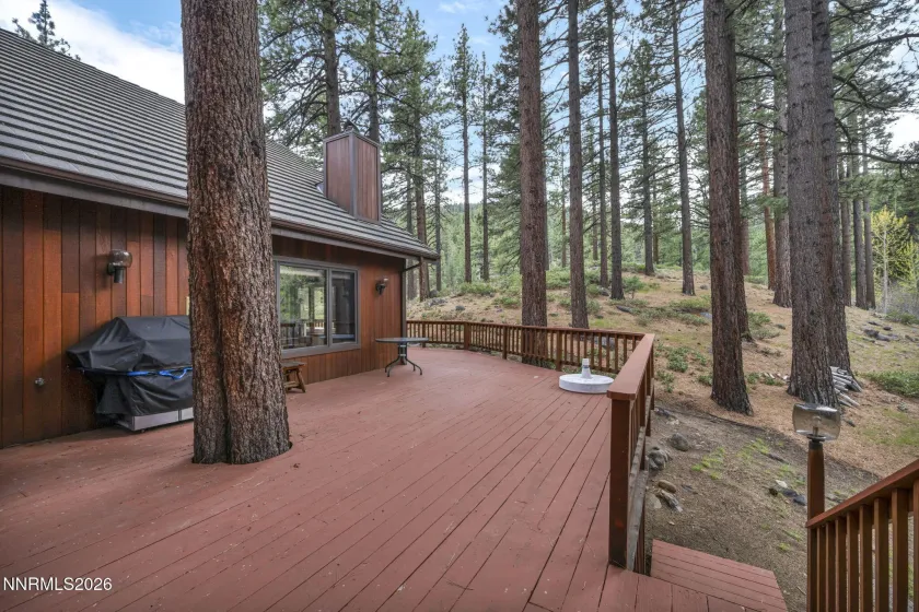 1300 Douglas Fir, Reno, Nevada 89511, 4 Bedrooms Bedrooms, ,4 BathroomsBathrooms,Residential,Residential,Douglas Fir,260004706