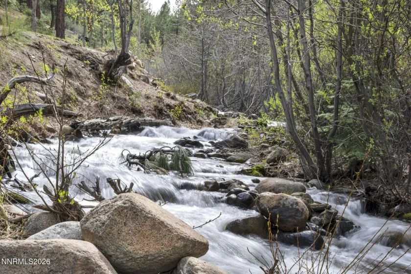 1300 Douglas Fir, Reno, Nevada 89511, 4 Bedrooms Bedrooms, ,4 BathroomsBathrooms,Residential,Residential,Douglas Fir,260004706