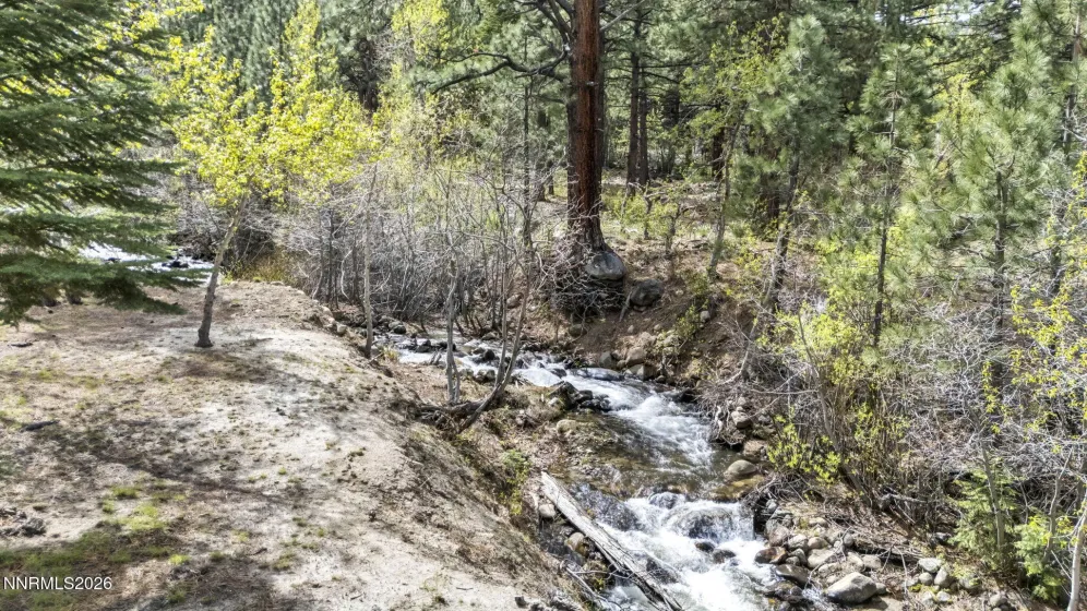 1300 Douglas Fir, Reno, Nevada 89511, 4 Bedrooms Bedrooms, ,4 BathroomsBathrooms,Residential,Residential,Douglas Fir,260004706