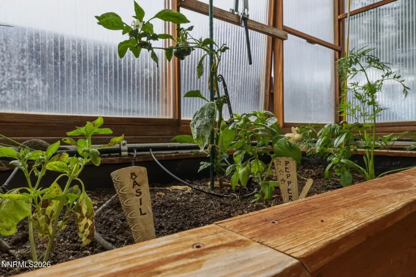 3601 Desert Fox, Sparks, Nevada 89436, 5 Bedrooms Bedrooms, ,3 BathroomsBathrooms,Residential,Residential,Desert Fox,260004729