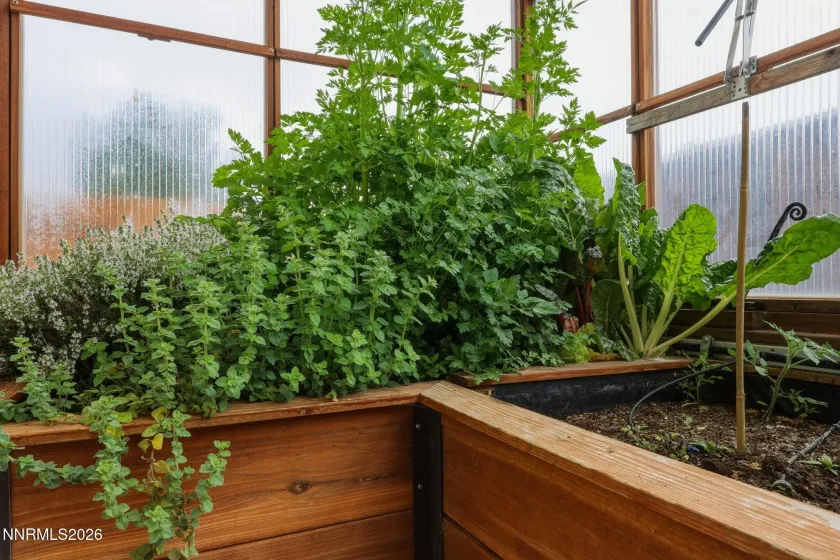 3601 Desert Fox, Sparks, Nevada 89436, 5 Bedrooms Bedrooms, ,3 BathroomsBathrooms,Residential,Residential,Desert Fox,260004729