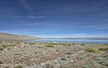 51 Shores, Walker Lake, Nevada 89415, ,Land,Residential,Shores,260004732