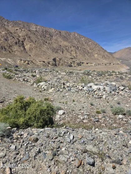 51 Shores, Walker Lake, Nevada 89415, ,Land,Residential,Shores,260004732