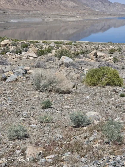 51 Shores, Walker Lake, Nevada 89415, ,Land,Residential,Shores,260004732