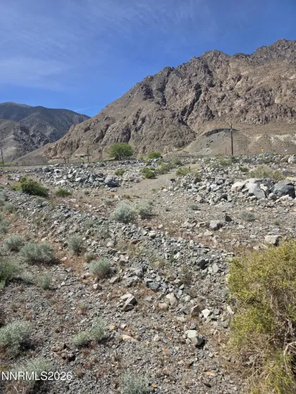 51 Shores, Walker Lake, Nevada 89415, ,Land,Residential,Shores,260004732