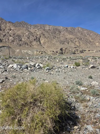 51 Shores, Walker Lake, Nevada 89415, ,Land,Residential,Shores,260004732