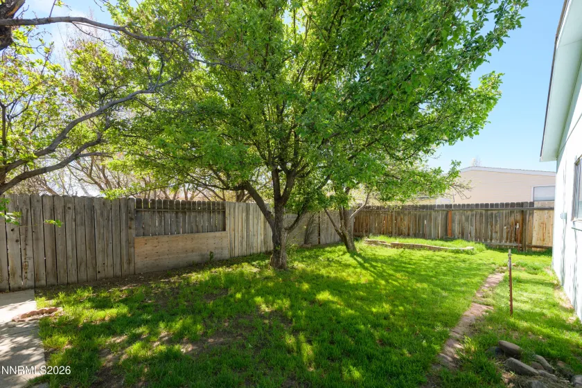 1428 Fleetwood, Carson City, Nevada 89701, 3 Bedrooms Bedrooms, ,2 BathroomsBathrooms,Residential,Residential,Fleetwood,260003451