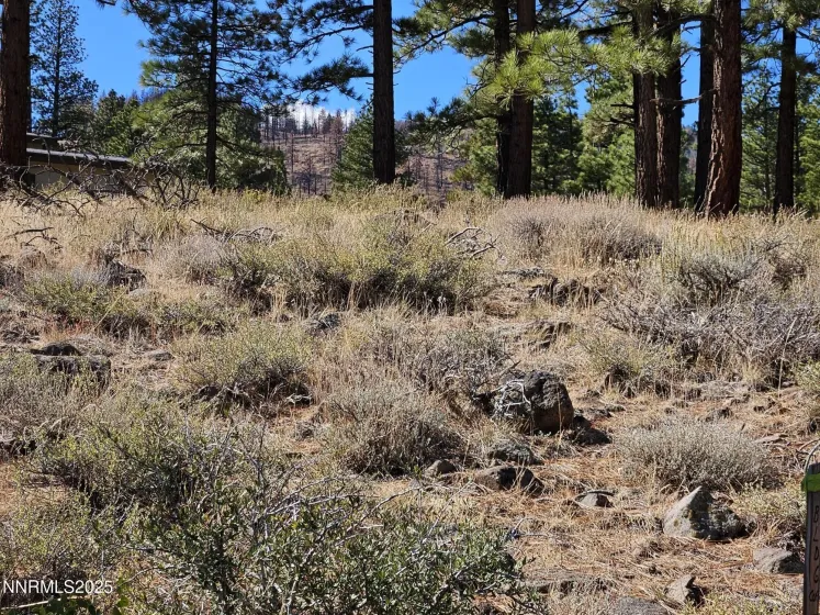 Building Site Northeast