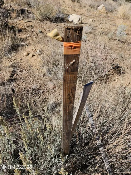 Proposed Septic System Location