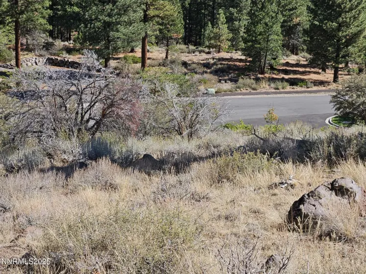 Proposed Septic System Leach Field 2