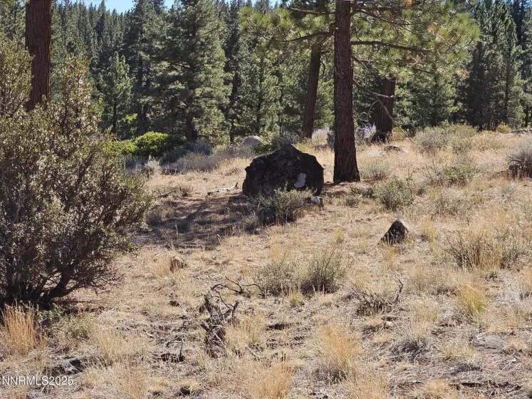 Proposed Septic System Leach Field 3