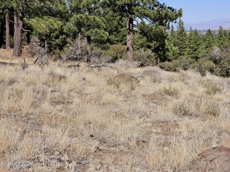 Proposed Septic System Leach Field 4