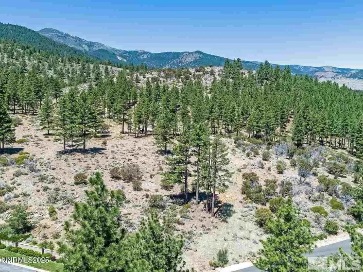 Corner View of Homesite