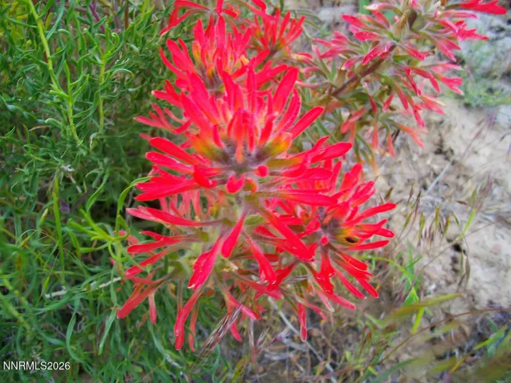 Lot 13 APN 010-100-21, Battle Mountain, Nevada 89820, ,Land,Residential,APN 010-100-21,260004776