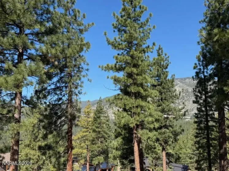 546 Headwaters, Carson City, Nevada 89705, ,Land,Residential,Headwaters,260004784