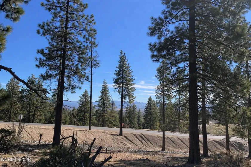 16 Boulders Bnd, Carson City, Nevada 89705, ,Land,Residential,Boulders Bnd,260004794