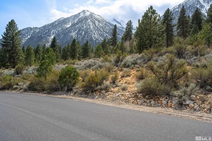 297 Five Creek, Gardnerville, Nevada 89460, ,Land,Residential,Five Creek,260004811