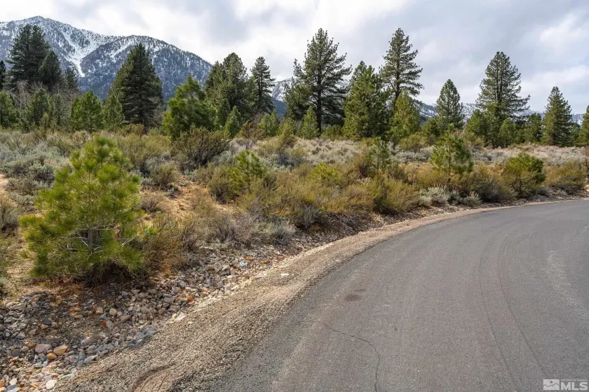 297 Five Creek, Gardnerville, Nevada 89460, ,Land,Residential,Five Creek,260004811