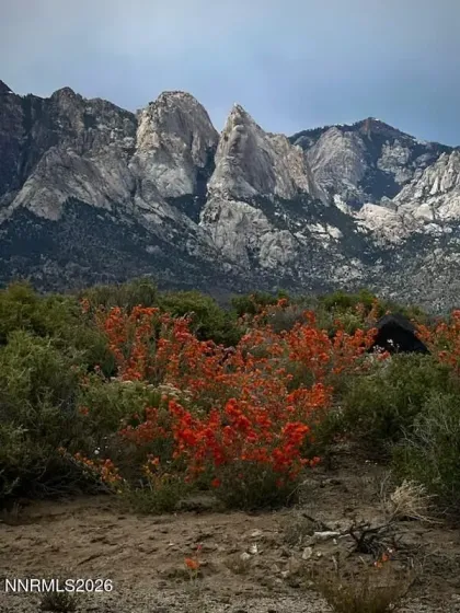 15 Wine Glass, Austin, Nevada 89310, 1 Bedroom Bedrooms, ,1 BathroomBathrooms,Residential,Residential,Wine Glass,260004829