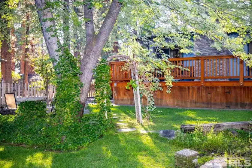 back yard looking towards back of the house